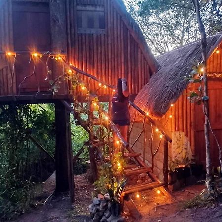 Sanctuaria Treehouses Бусуанга Экстерьер фото