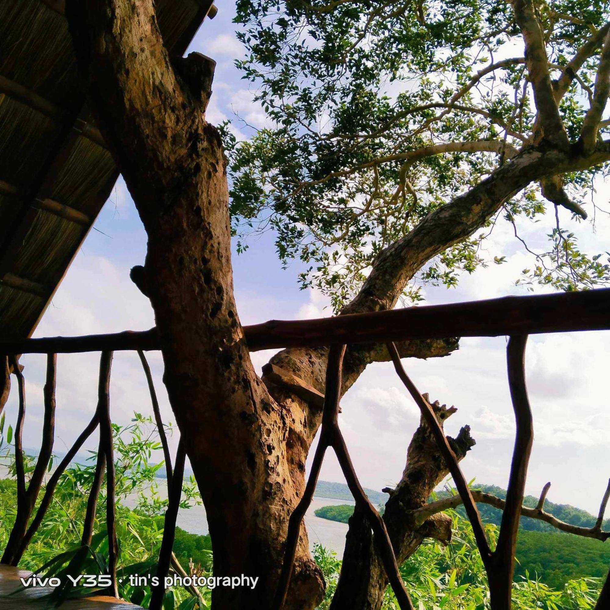 Sanctuaria Treehouses Бусуанга Экстерьер фото