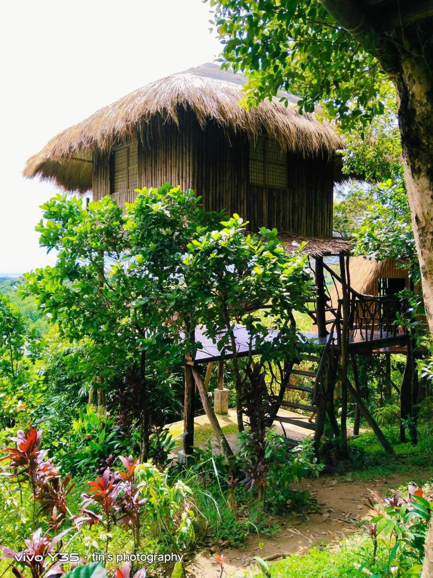 Sanctuaria Treehouses Бусуанга Экстерьер фото