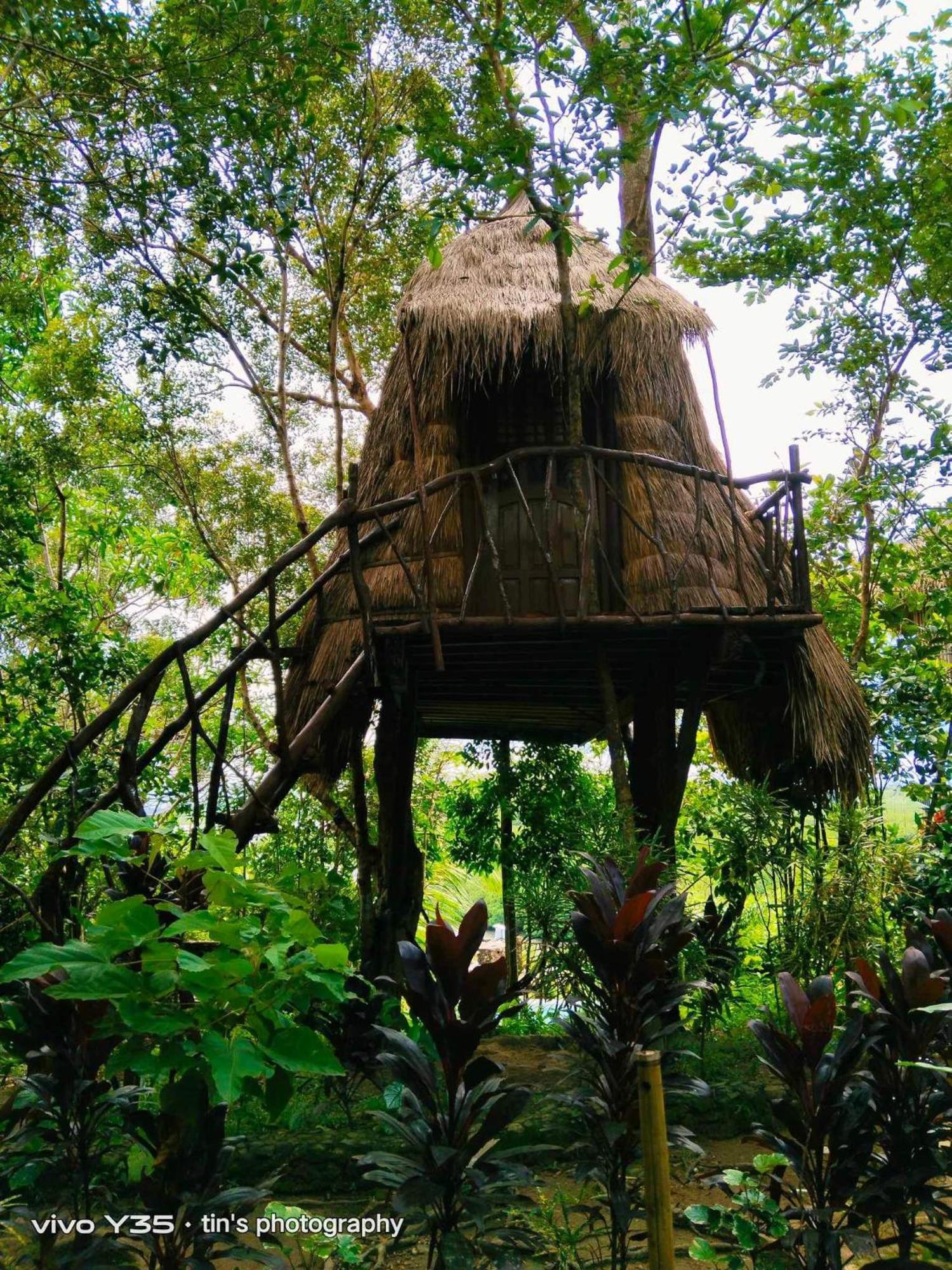 Sanctuaria Treehouses Бусуанга Экстерьер фото