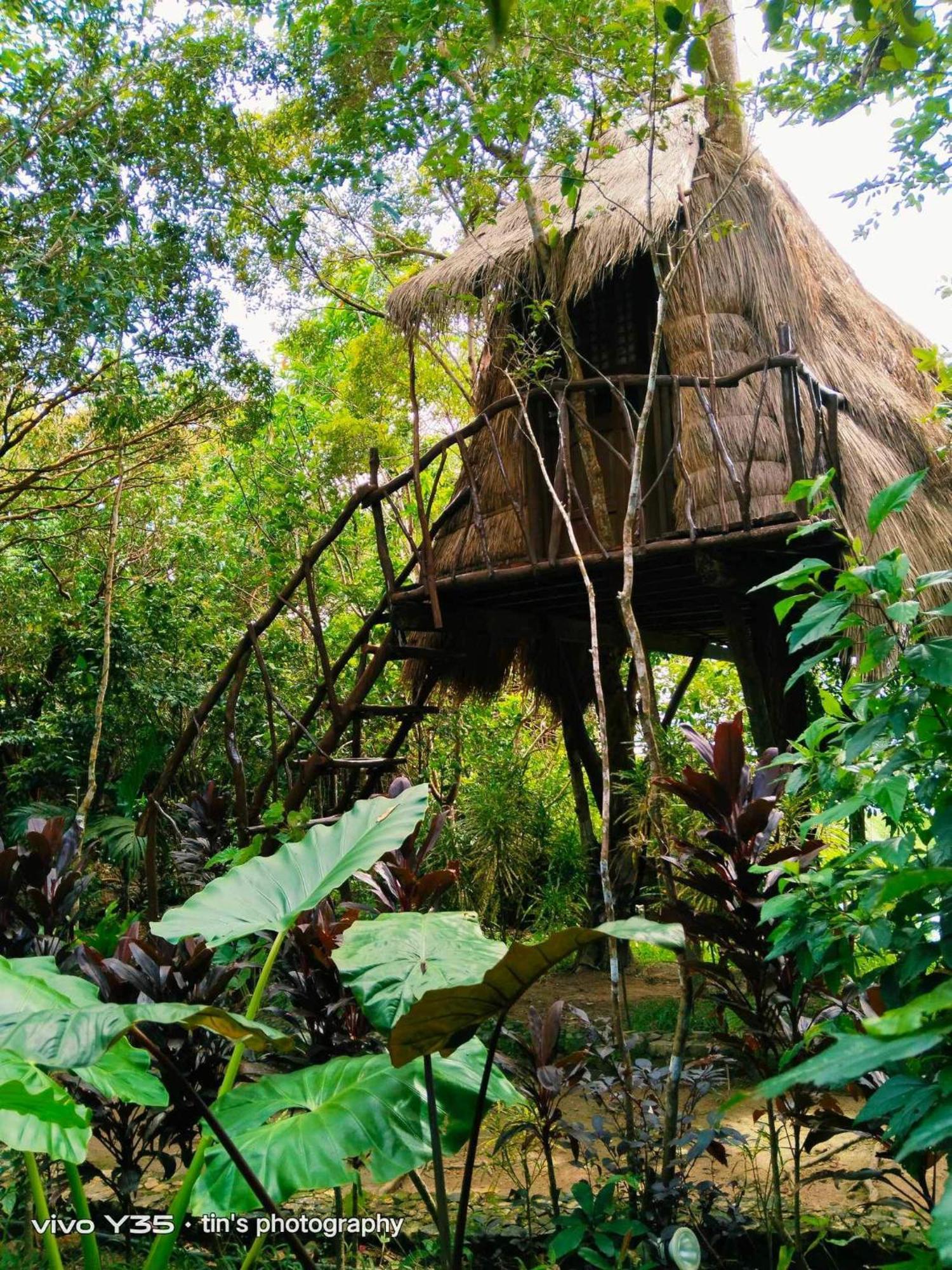 Sanctuaria Treehouses Бусуанга Экстерьер фото