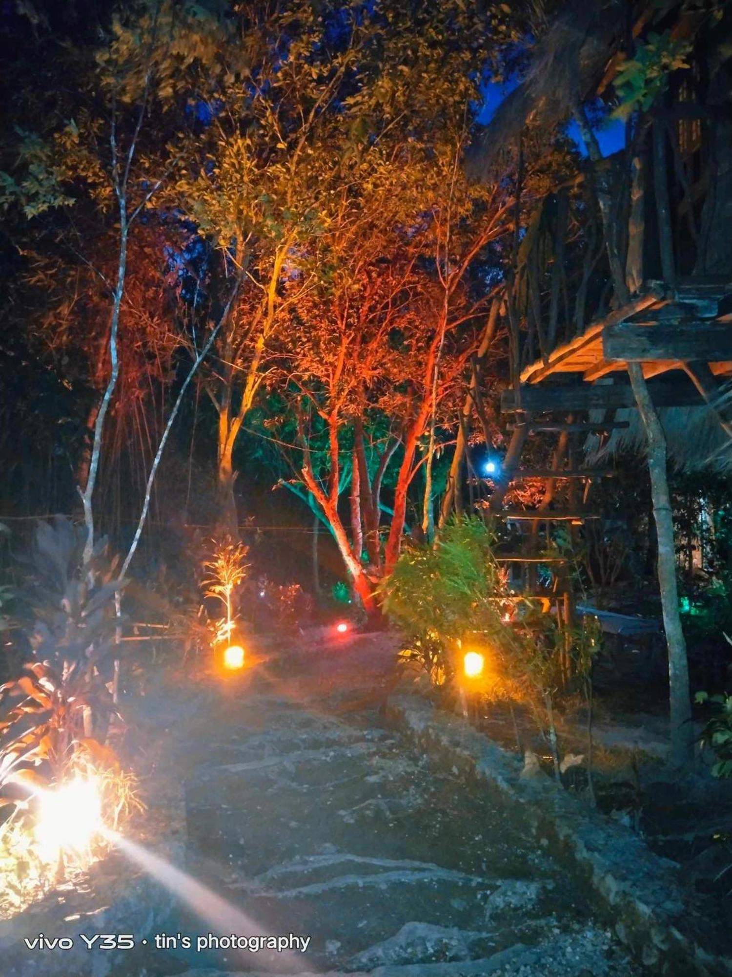 Sanctuaria Treehouses Бусуанга Экстерьер фото