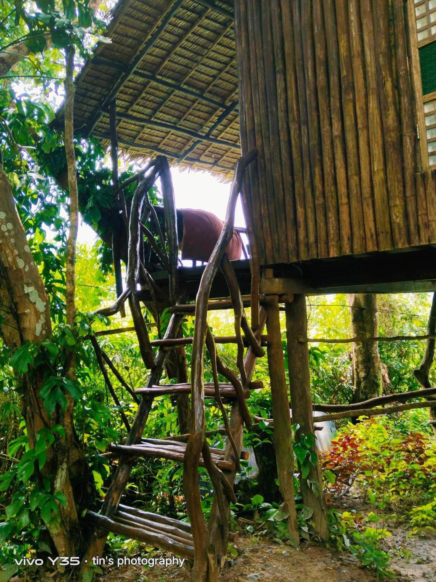 Sanctuaria Treehouses Бусуанга Экстерьер фото