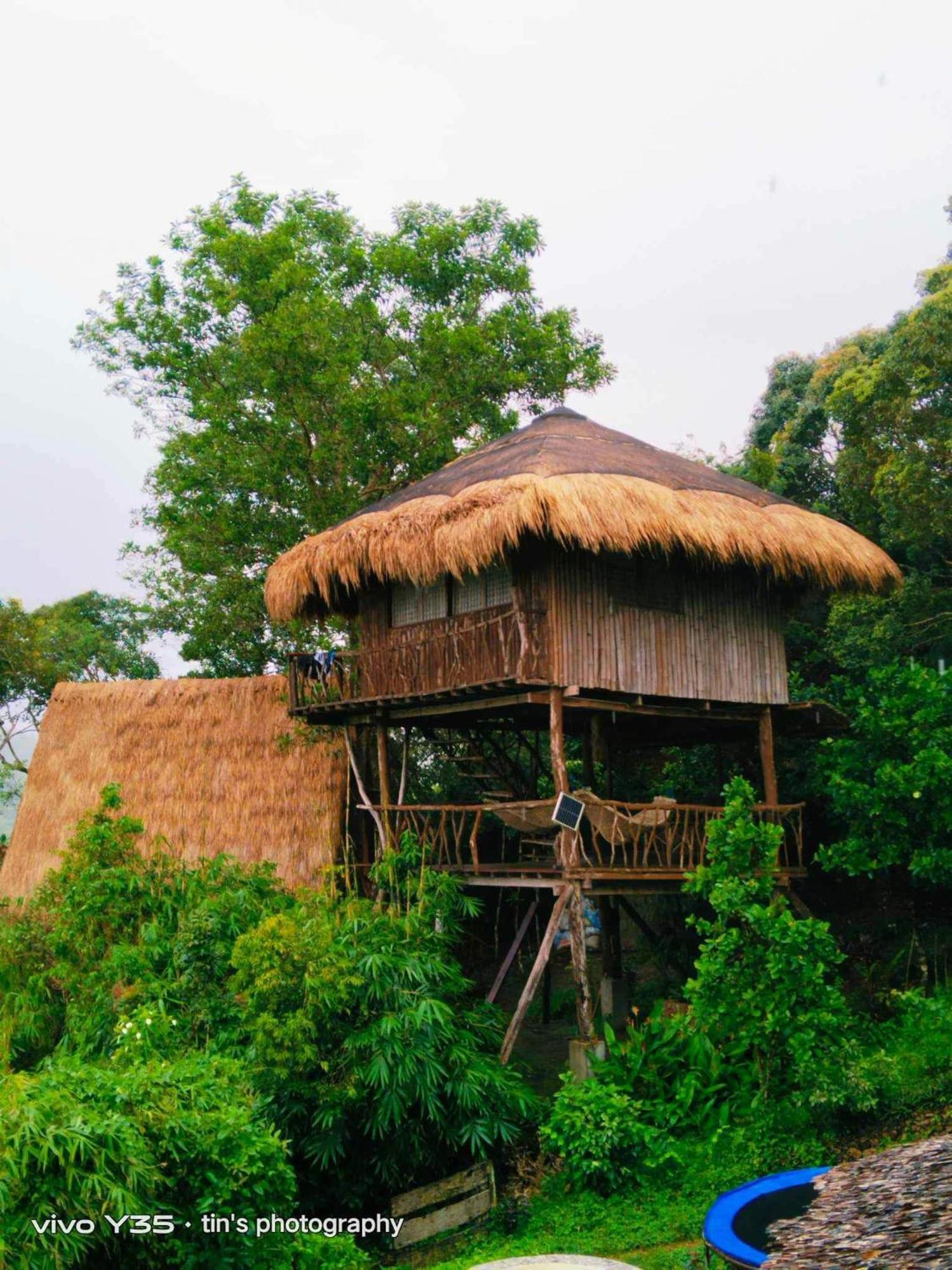 Sanctuaria Treehouses Бусуанга Экстерьер фото