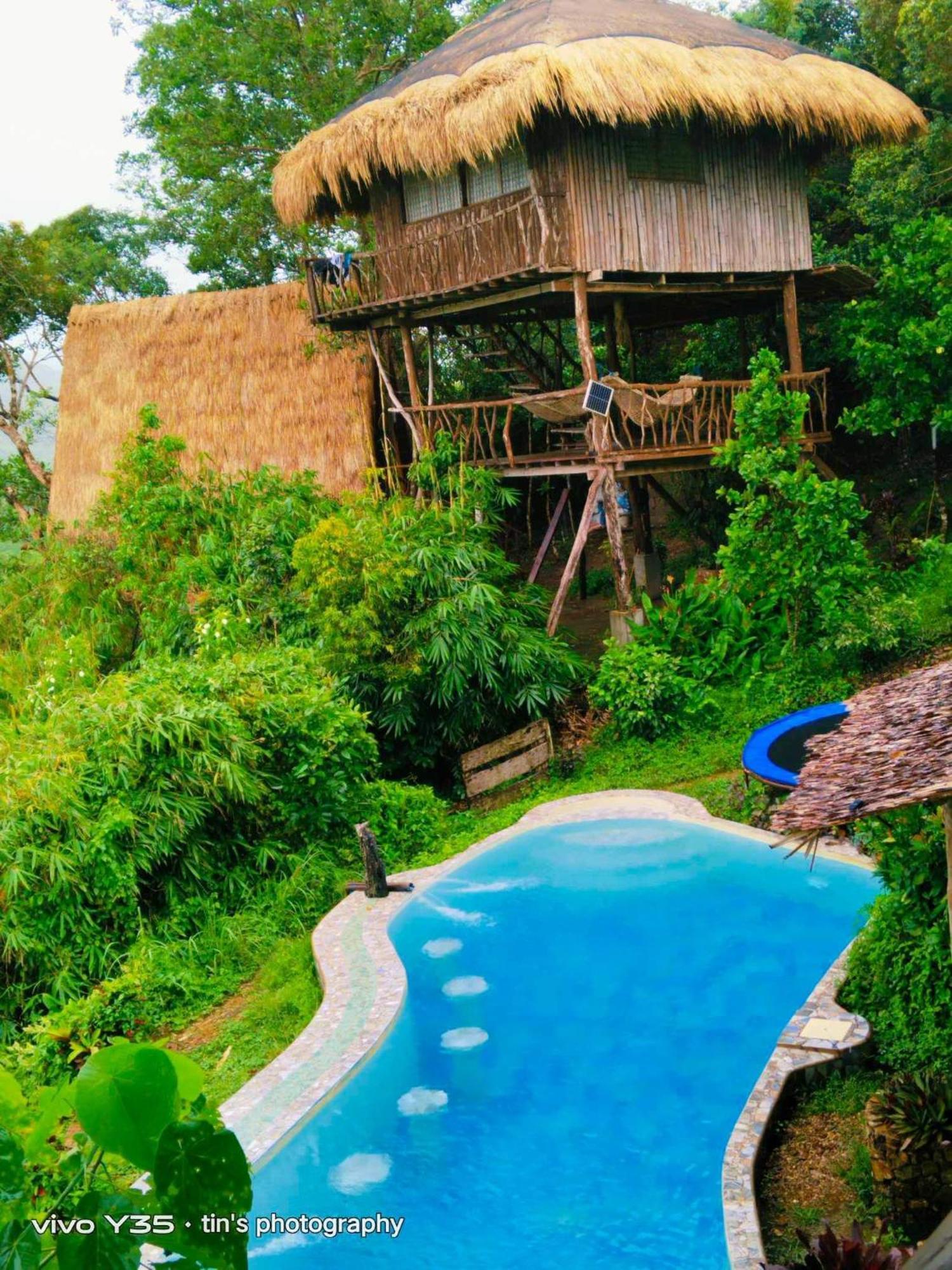 Sanctuaria Treehouses Бусуанга Экстерьер фото