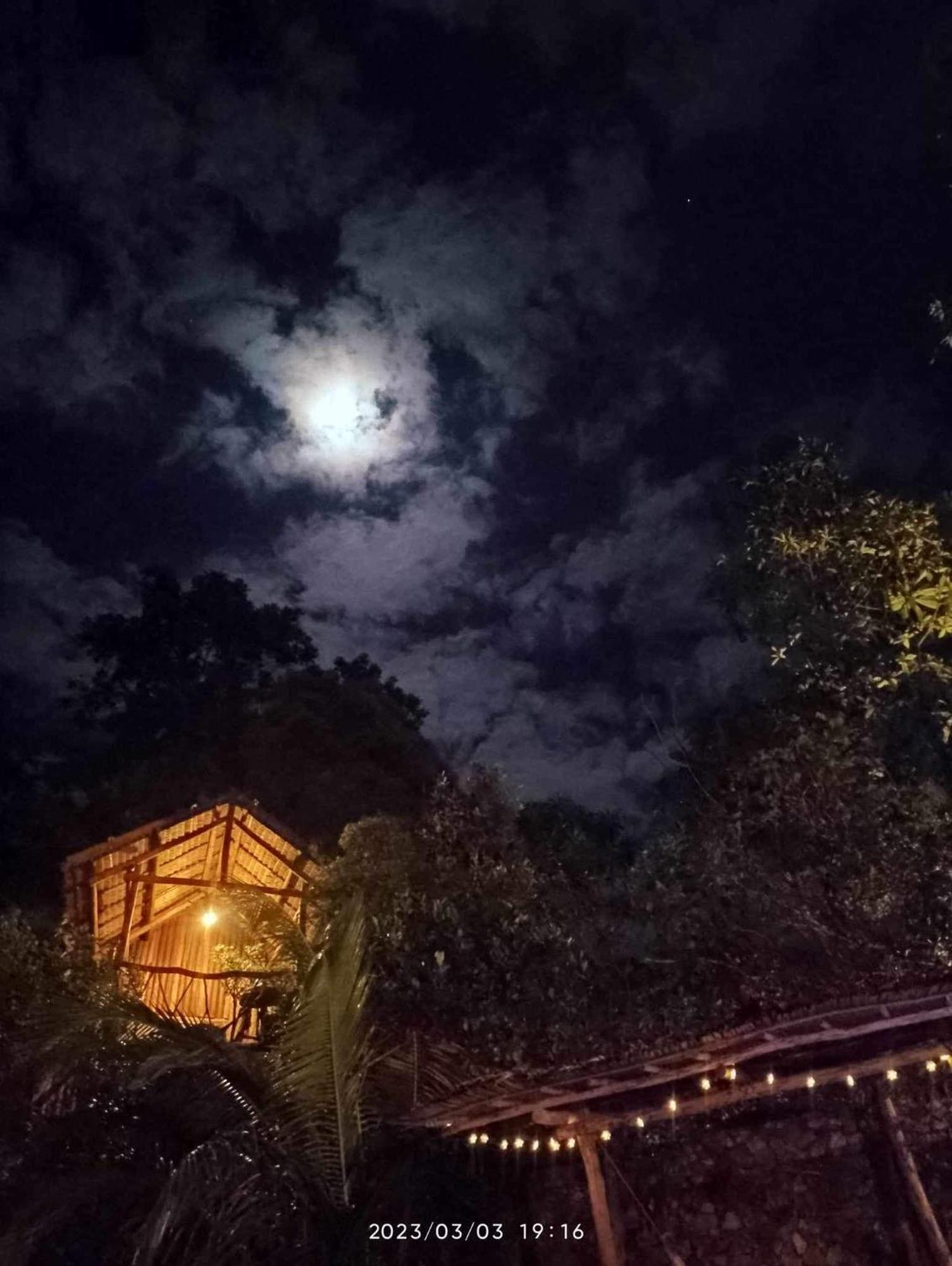 Sanctuaria Treehouses Бусуанга Экстерьер фото
