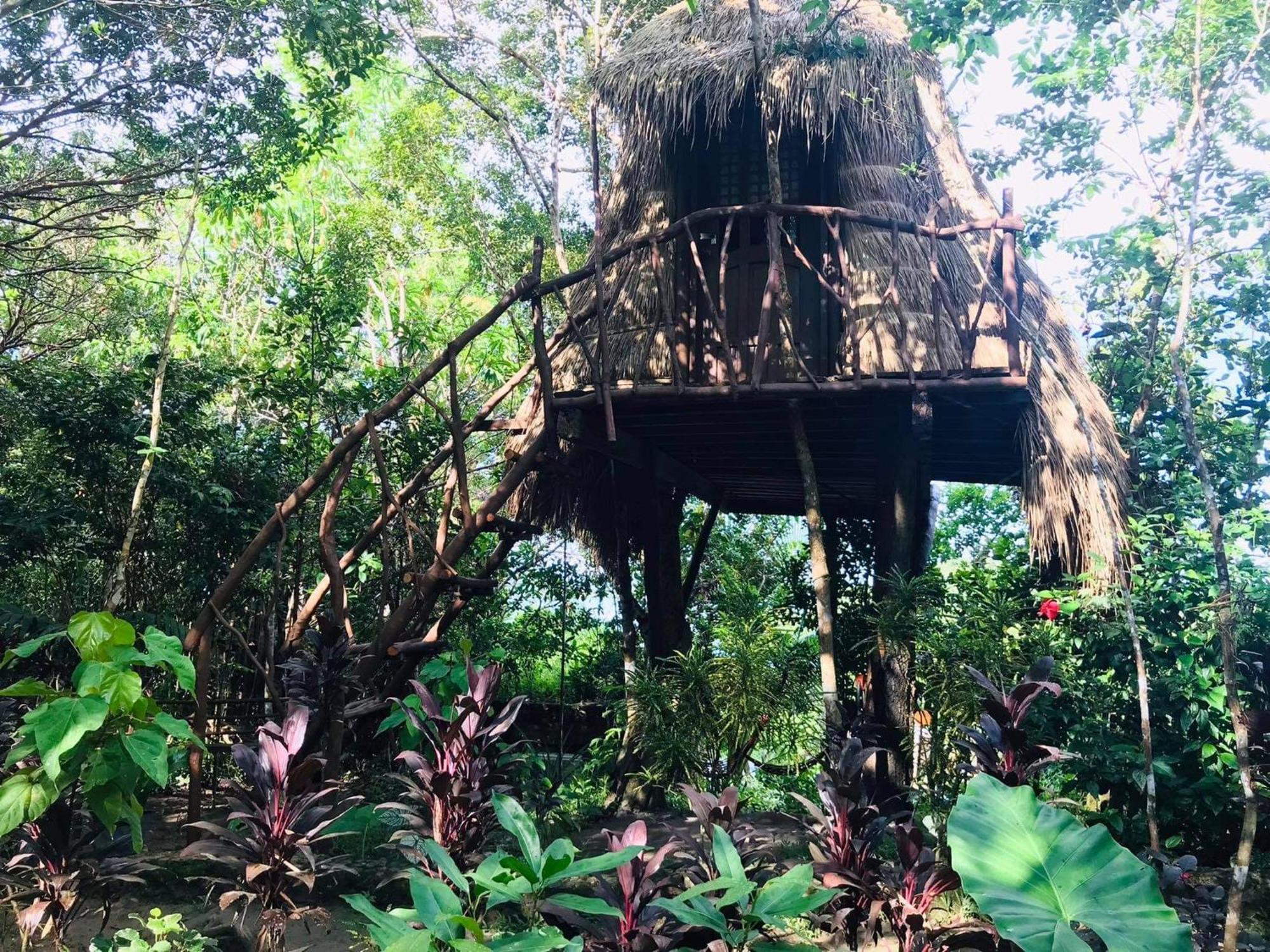 Sanctuaria Treehouses Бусуанга Экстерьер фото