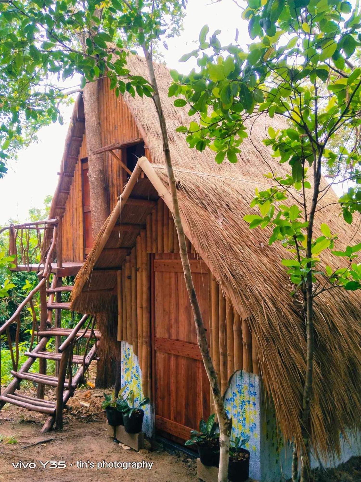 Sanctuaria Treehouses Бусуанга Экстерьер фото
